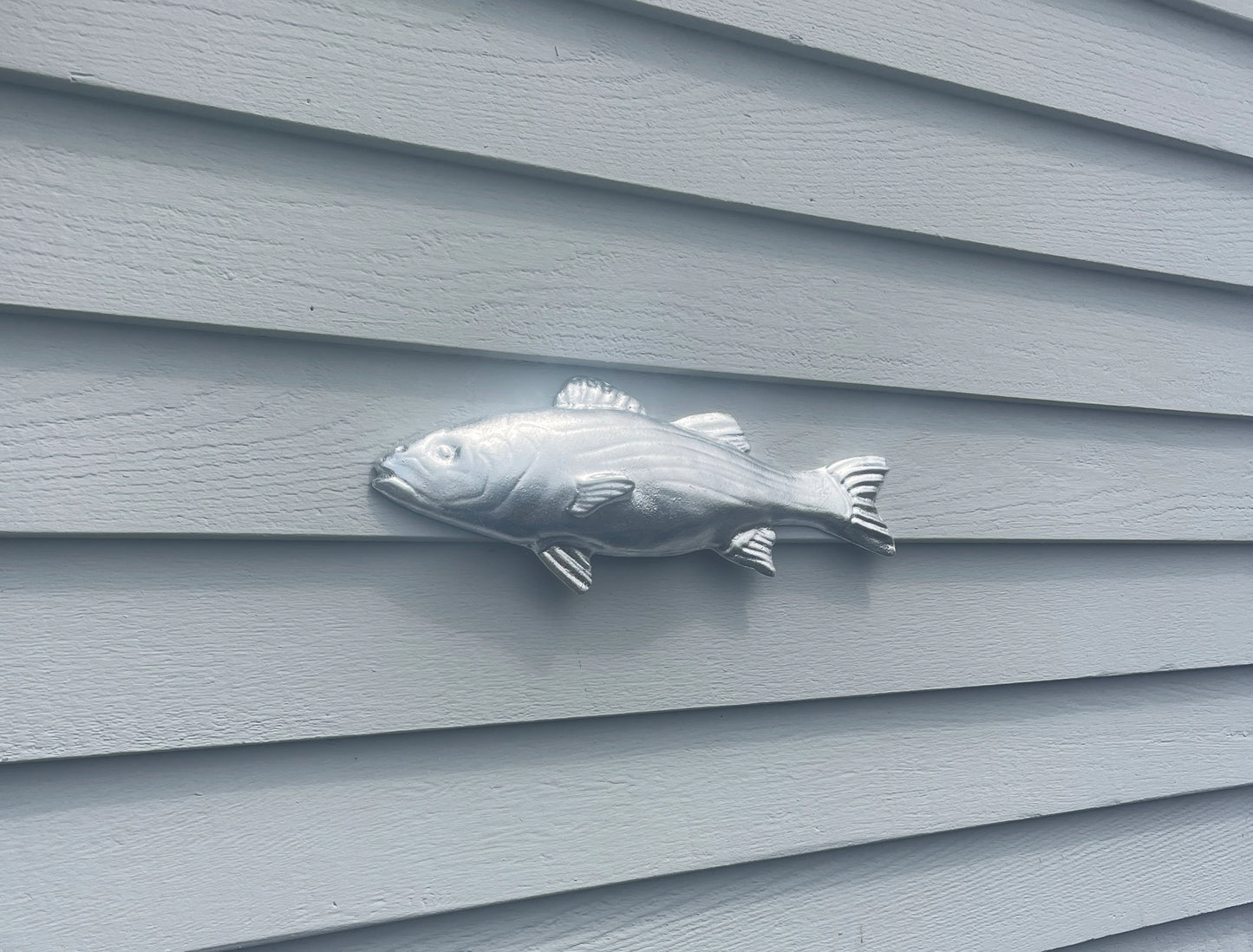 The Silver Striper "The Schoolie"