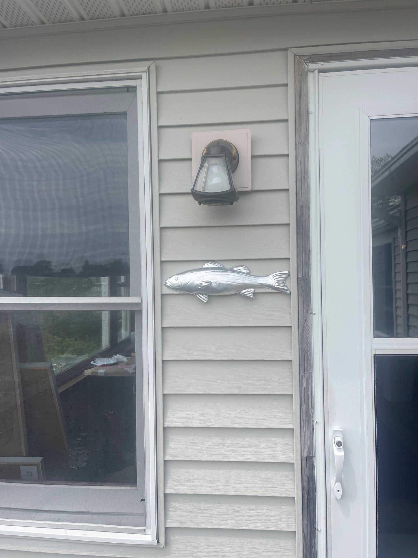 The Silver Striper "The Schoolie"