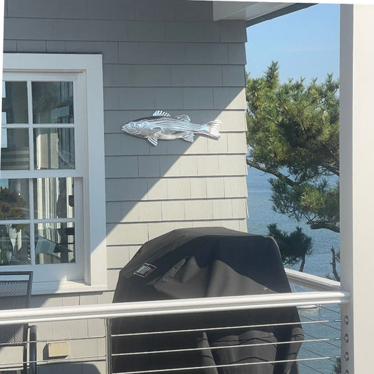 The Silver Striper "The Keeper"
