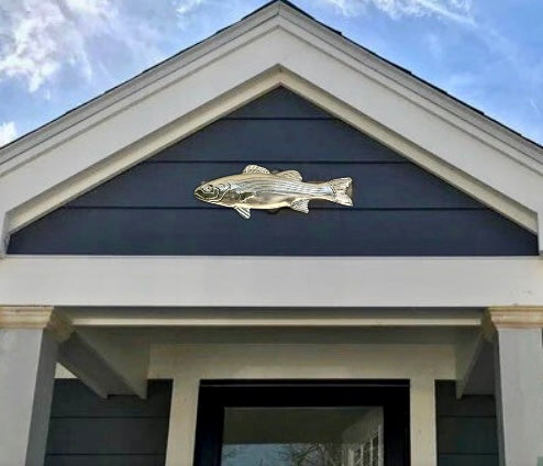 The Silver Striper "The Schoolie" Collector’s Edition